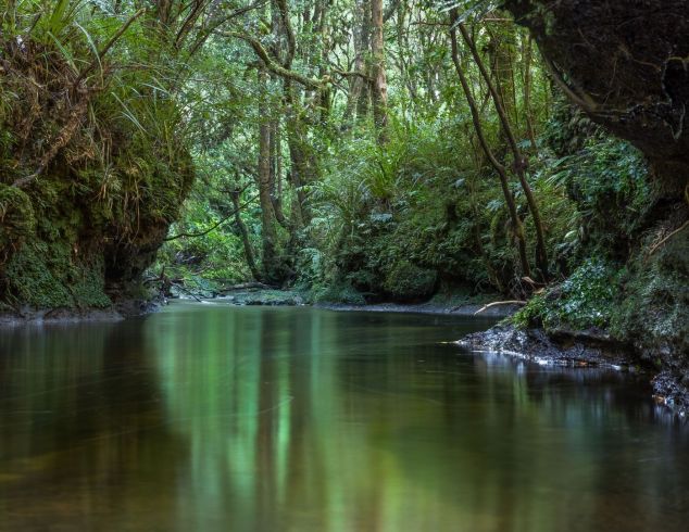 Waitomo Great Walk