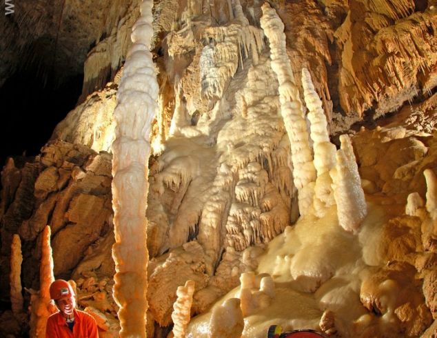 Waitomo Caves